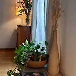 Le Matrone Romane Rzym